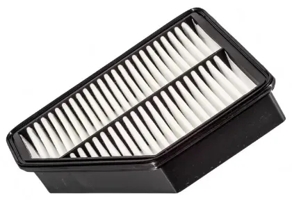 Imagen de Filtro de Aire PA6105 Para Hyundai Genesis Coupe 2010-2012