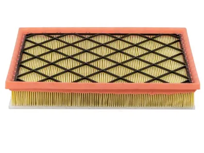 Imagen de Filtro de Aire PA10251 Para Bmw X5 2009-2014