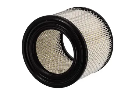 Imagen de Filtro de Aire PA4347 Para Buick Apollo/skylark 1985, Buick Century Fwd 1987-1996, Buick Regal 1988, y Otros
