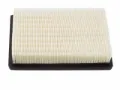 Imagen de Filtro de Aire PA4880 Para Buick Century Fwd 1997-1998, Buick Regal 1994-1998, Buick Rendezvous 2002-2007, y Otros