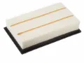 Imagen de Filtro de Aire PA5418 Para Ford Explorer 2002-2010, Ford Explorer Sport Trac 2007-2010, Ford Usps Postal Chassis 2002, y Otros