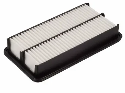 Imagen de Filtro de Aire PA5673 Para Hyundai Entourage 2007-2008, Kia Sedona 2006-2014