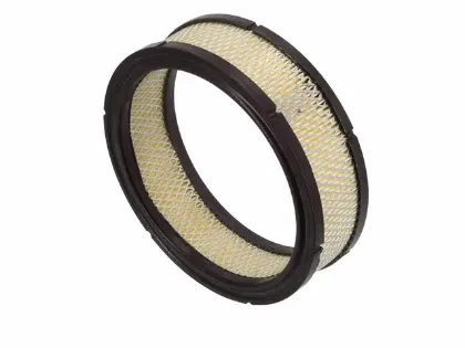 Imagen de Filtro de Aire PA3195 Para Cadillac Full Size Cad Fwd 1985-1987, Cadillac Full Size Cad Rwd 1985, Chevrolet Astro Van 1985-1994, y Otros