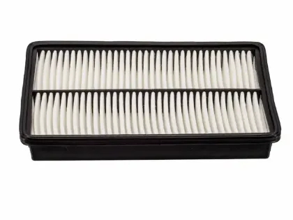 Imagen de Filtro de Aire PA5434 Para Kia Sedona 2002-2005