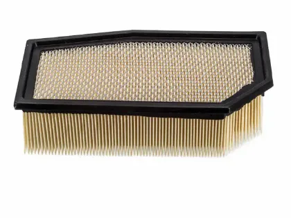 Imagen de Filtro de Aire PA5565 Para Ford E350 Van 2004-2010, Ford E450 Van 2004-2010