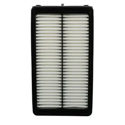 Imagen de Filtro de Aire PA9898 Para Genesis Gv80 2021-2025