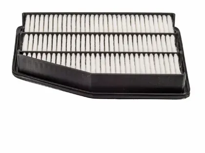 Imagen de Filtro de Aire PA5791 Para Kia Amanti 2007-2009
