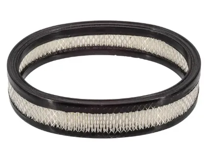 Imagen de Filtro de Aire PA4379 Para Ford Escort/exp 1987-1990, Mercury Lynx/ln7 1987