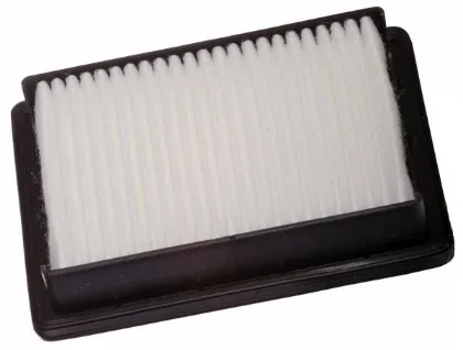 Imagen de Filtro de Aire Walmi WA-9523