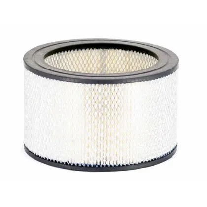 Imagen de Filtro de Aire Walmi WA-3785